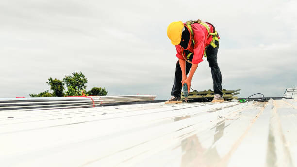 Best Roof Maintenance and Cleaning  in Hewlett, NY